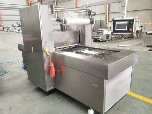 上海雙室擺蓋真空包裝機聯(lián)系電話 質量放心可靠，優(yōu)選諸城廣元機械設備